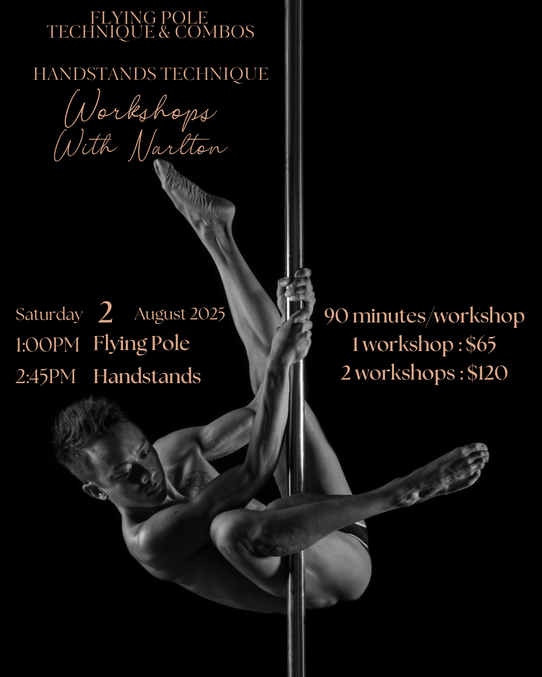 workshop - polelounge